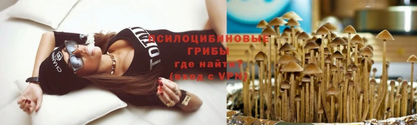 стаф Кукмор
