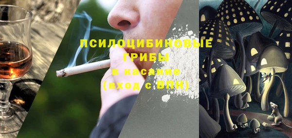 стаф Кукмор
