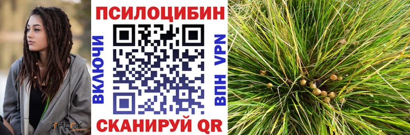 хочу   Благовещенск  Псилоцибиновые грибы мухоморы 