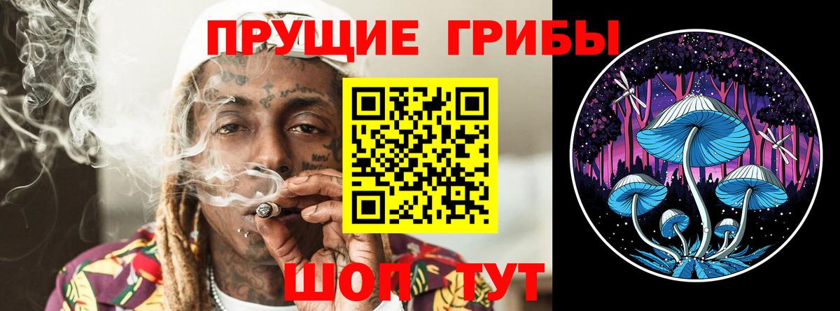 Галлюциногенные грибы GOLDEN TEACHER  Галлюциногенные грибы Cubensis  Благовещенск 